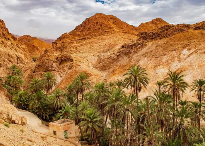 Sahara