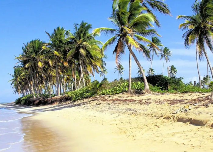 Tropici